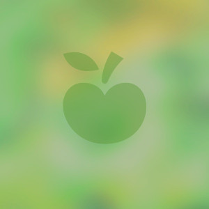 Salsa