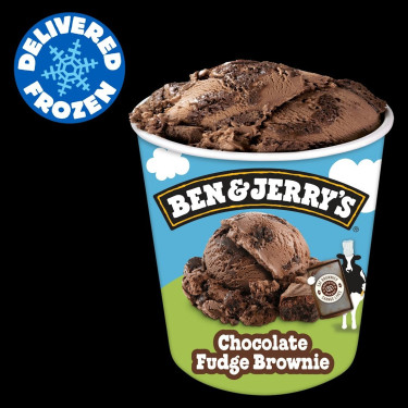 B&J Choco Fudge Brownie Small