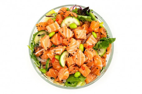 Poke Salad Large (3 Proteine)