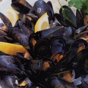 Cozze Al Vapore