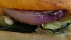 Veg. Panino Alla Griglia