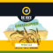 8. Grasshopper Wheat Ale