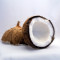 Cocco