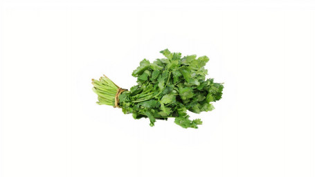 Cilantro 1 Ct