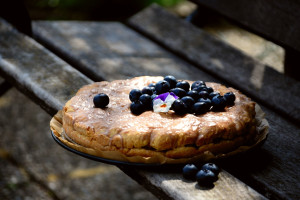 Torta Di Mirtilli