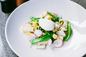 Burrata