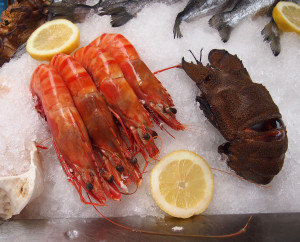 Scampi