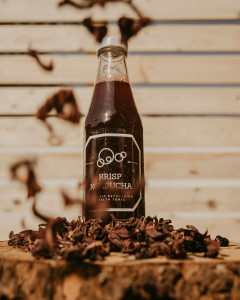 Kombucha