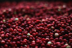 Succo Di Mirtillo Rosso