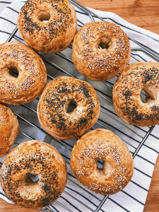 Bagel