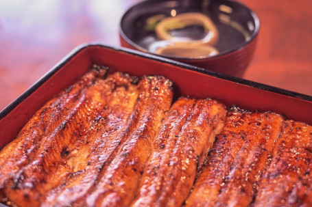 Anguilla (Unagi)