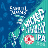 16. Wicked Fenway Ipa