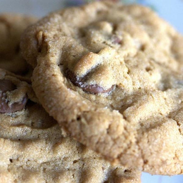 Biscotti Appena Sfornati