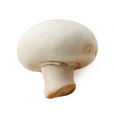 Champignons