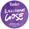 Blackcurrant Gose