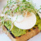 Spring Pea Toast