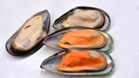 M2. Green Mussel