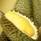 Durian